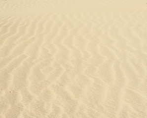 Fototapeta na wymiar Sand ripples in a desert