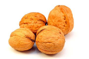 walnuts on a white background
