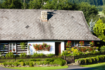 Fototapeta na wymiar cottage with plants, Czech Republic