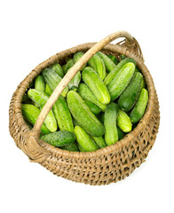 fresh cucumbers in a basket