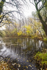 Small Danube river in autumn, Slovakia