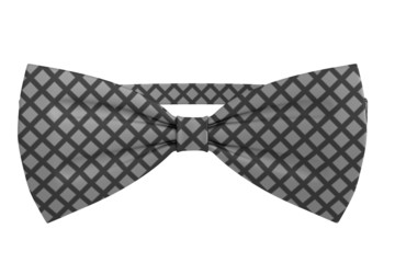 realistic 3d render of bowtie