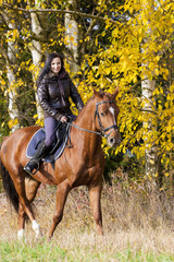 equestrian on horseback in autumnal nature