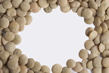 Obraz na płótnie Canvas Raw lentil (Lens culinaris)