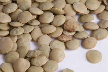 Lentil (Lens culinaris)