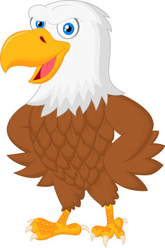 Cute eagle cartoon posing