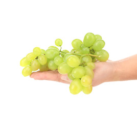 White juicy grape in hand.