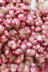 Shallot - asia red onion in the market