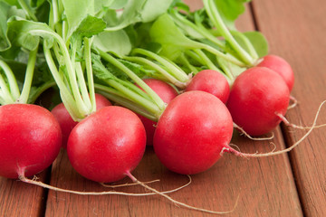 bunch of fresh organic radish