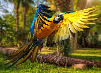 Mooie kleurrijke papegaai over tropische achtergrond