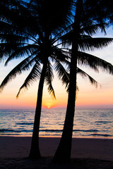 sunset and beach. view of a beach with palm trees