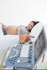 Fototapeta na wymiar Doctor showing ultrasound monitor to pregnant woman