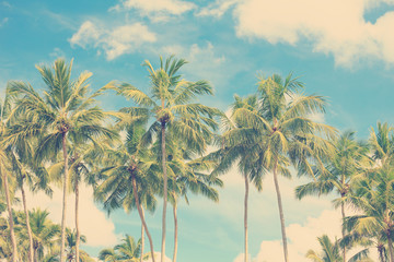 Obraz na płótnie Canvas Vintage tropikalne palmy