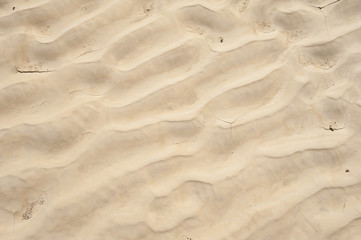 Sand ripples in a desert