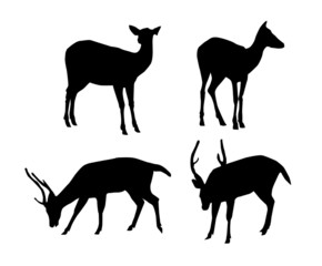 Deer-Vector
