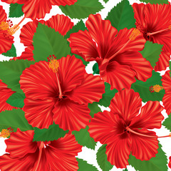 Seamless pattern of hibiscus
