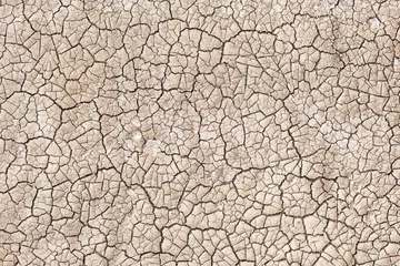 Rolgordijnen Cracked dirt © ImagePost