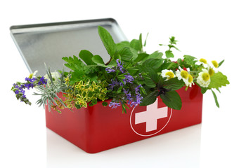 Fresh herbs in first aid kit. © viperagp