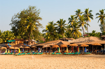 Palm trees and reed huts on a beach at sunset