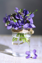 Violets flowers on grey background