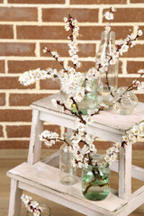 Beautiful apricot blossom in transparent jars