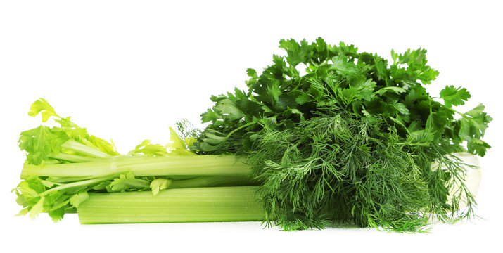 Fresh green celery and herbs, isolated on white