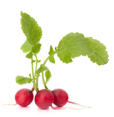 Small garden radish with leaves