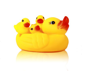 yellow duck