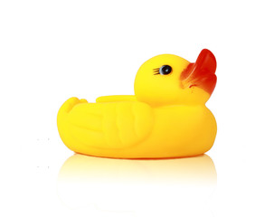 yellow duck