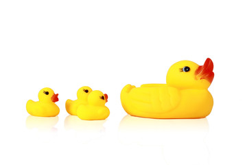yellow duck