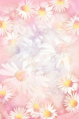 Pretty daisies grungy background