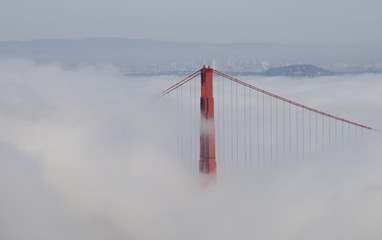 Foggy Bridge