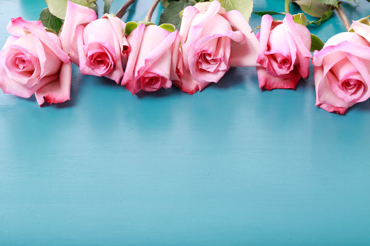 Fototapeta Pink roses on turquoise blue wooden board