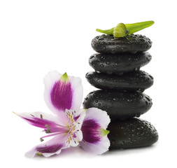 Stones and lily