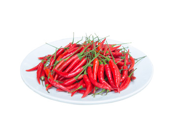 Red hot chili pepper