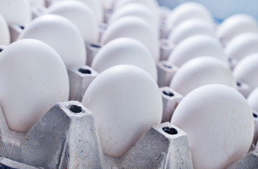 Fototapeta premium raw eggs