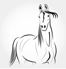 Beauty Horse portrait logo vector