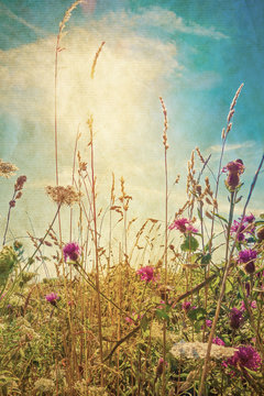 Fototapeta Retro summer flowers