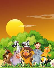A group of animals at the forest