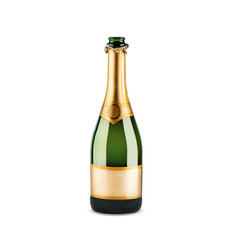bottle of champagne - 63441558