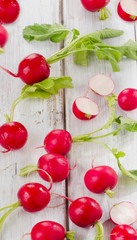  fresh radish