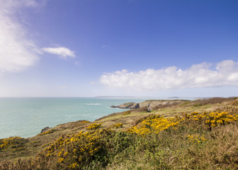 Coastal scene on the Channel Islands