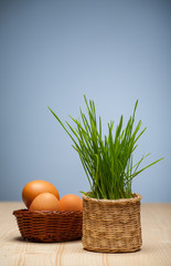 Easter still life with eggs and grass in a basket.