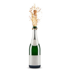 bottle of champagne - 63445334
