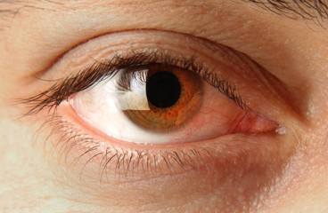 Fototapeta premium göz