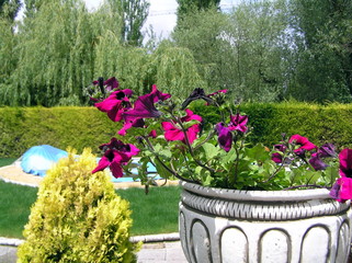 JARDINERIA