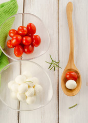 fresh italian mozzarella