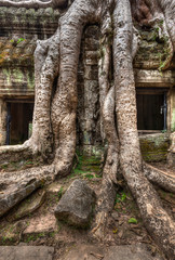 Fototapeta na wymiar Ancient ruins and tree roots, Ta Prohm temple, Angkor, Cambodia