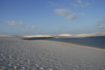 deserto brasiliano