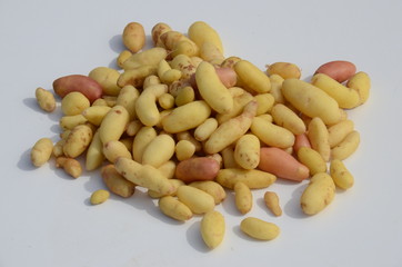 pomme de terre grenaille